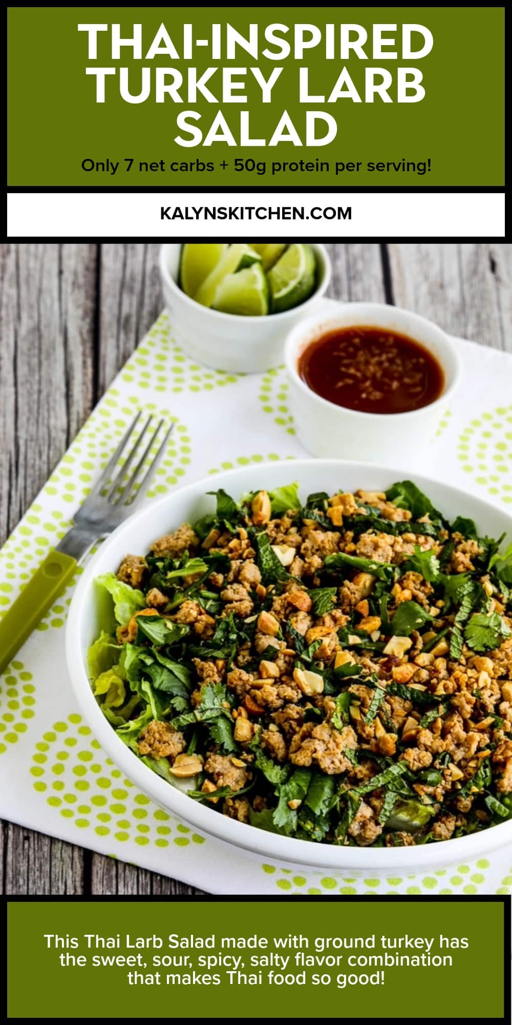 Pinterest image of Thai-Inspired Turkey Larb Salad found on kalynskitchen.com
